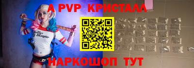 крисы Можга