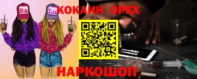 крисы Можга