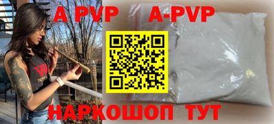 крисы Можга