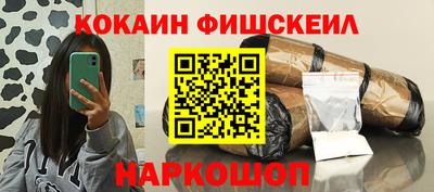 крисы Можга
