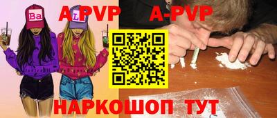 крисы Можга