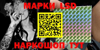 крисы Можга