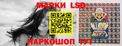 крисы Можга