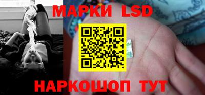 крисы Можга