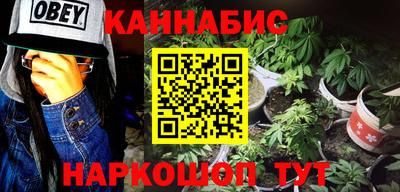 крисы Можга