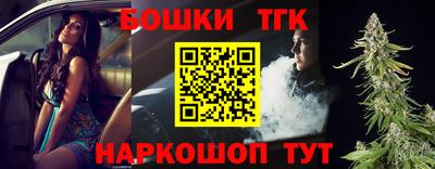 крисы Можга