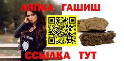крисы Можга