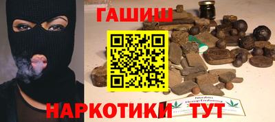 крисы Можга