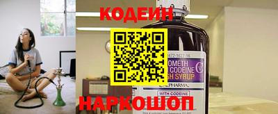 крисы Можга