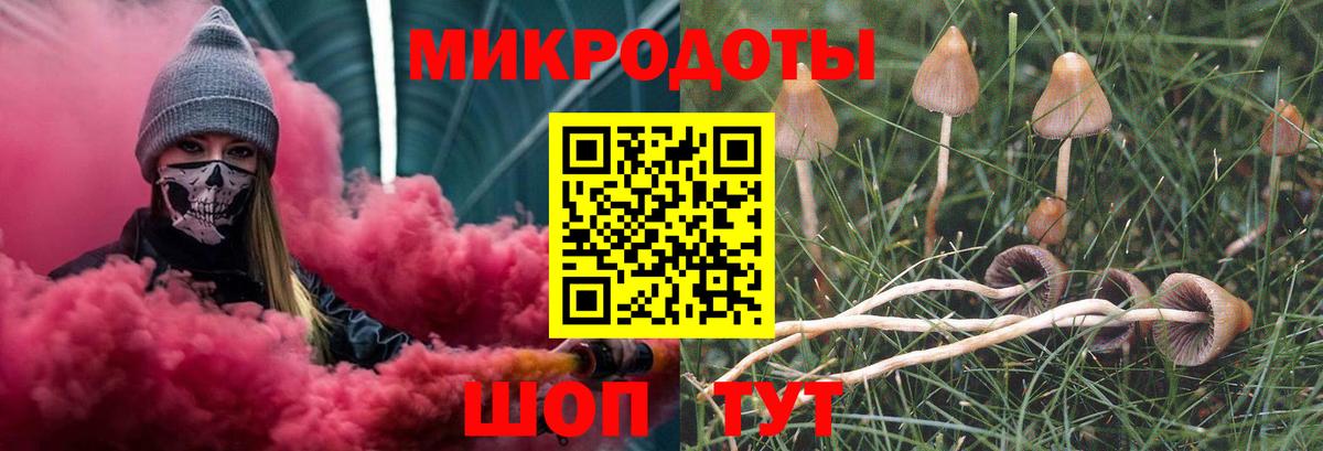 Галлюциногенные грибы Psilocybe Камышин